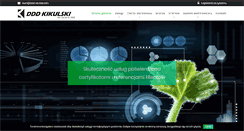 Desktop Screenshot of ddd-kikulski.com